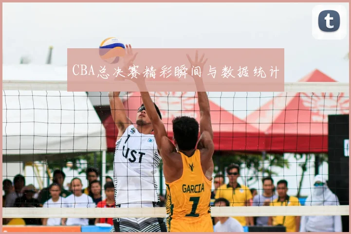 CBA总决赛精彩瞬间与数据统计